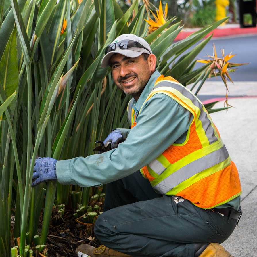 Vivo Landscape employee
