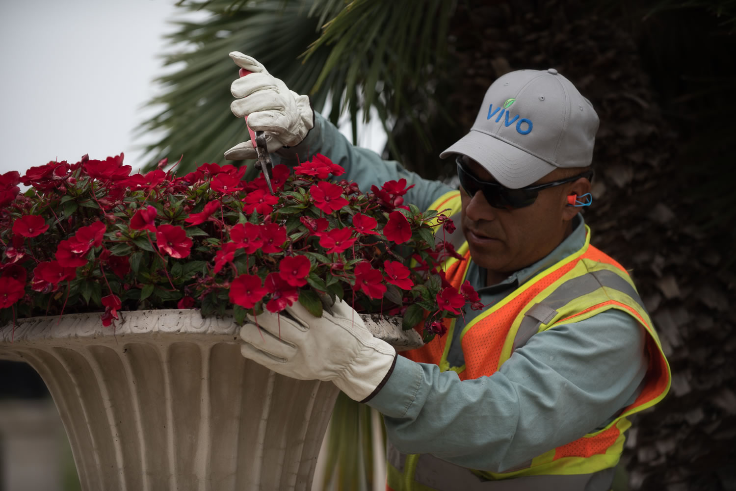 Professionally maintained commercial landscape
