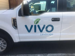 vivo_news4