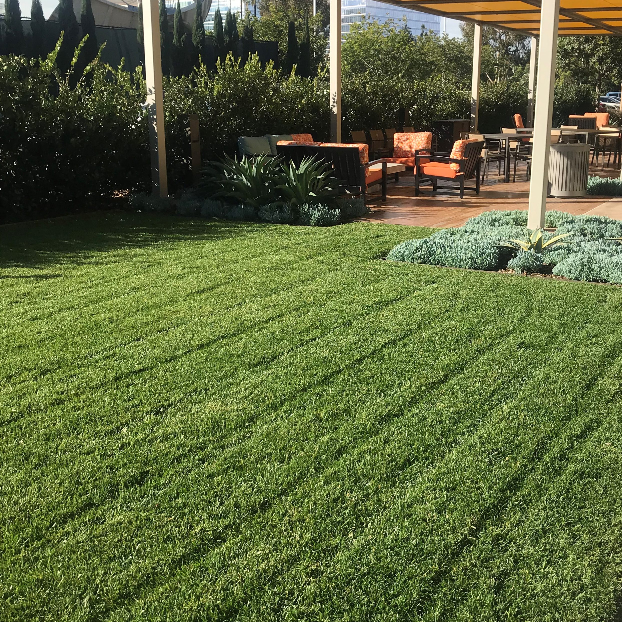 Vivo landscape maintenance team