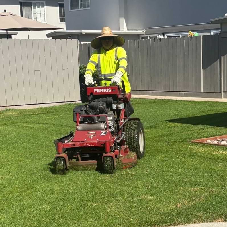 Vivo landscape team member